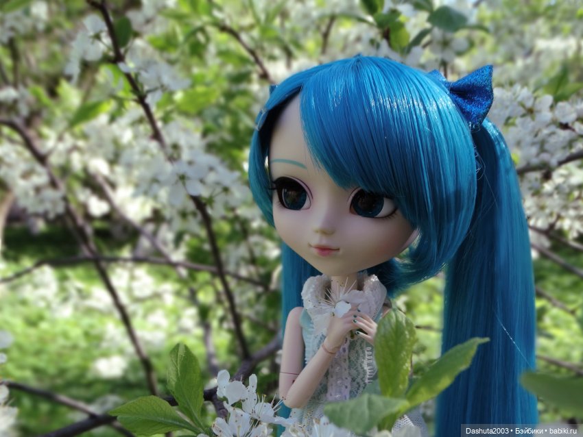 Майские воспоминания... Прекрасная Pullip Hatsune Miku и не менее прекрасные вишневые цветы (фото 8)