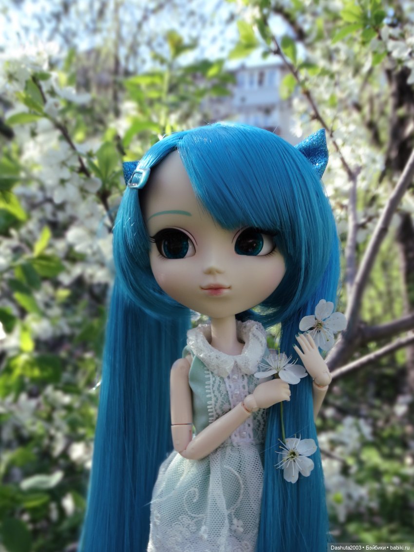 Майские воспоминания... Прекрасная Pullip Hatsune Miku и не менее прекрасные вишневые цветы (фото 2)