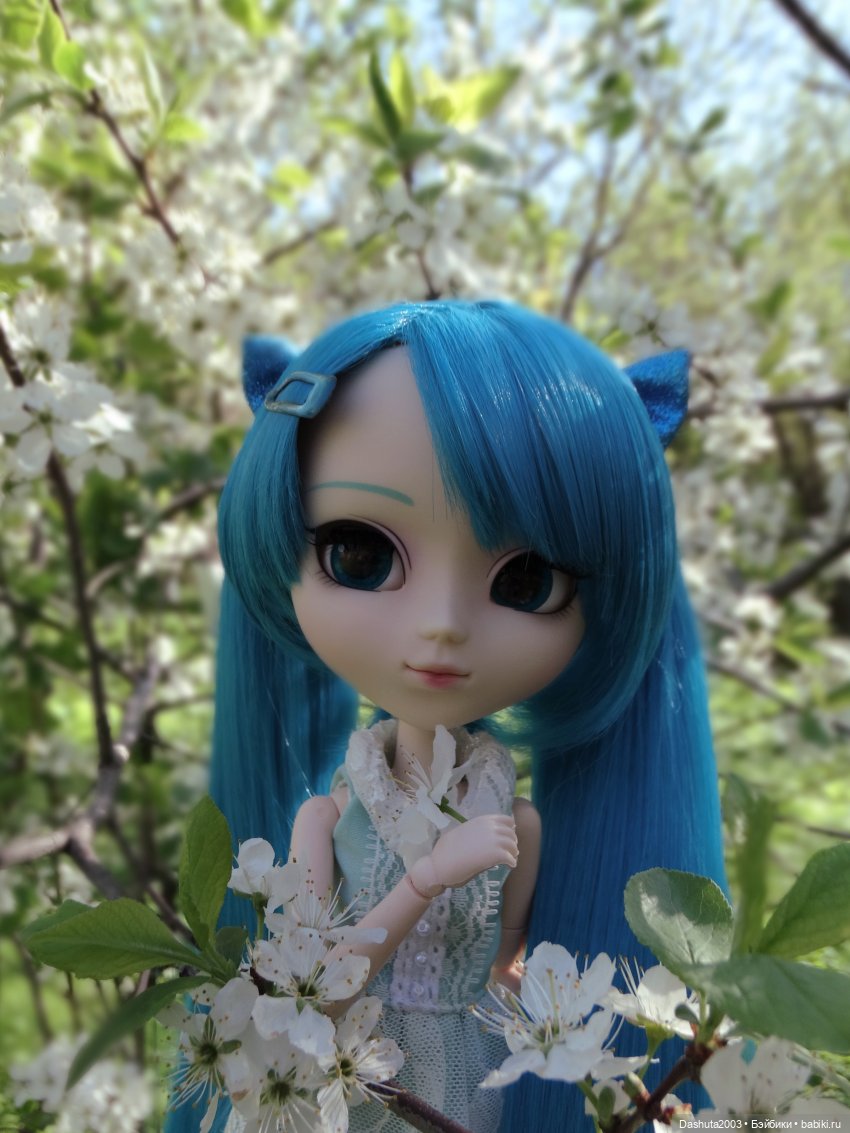 Майские воспоминания... Прекрасная Pullip Hatsune Miku и не менее прекрасные вишневые цветы (фото 7)
