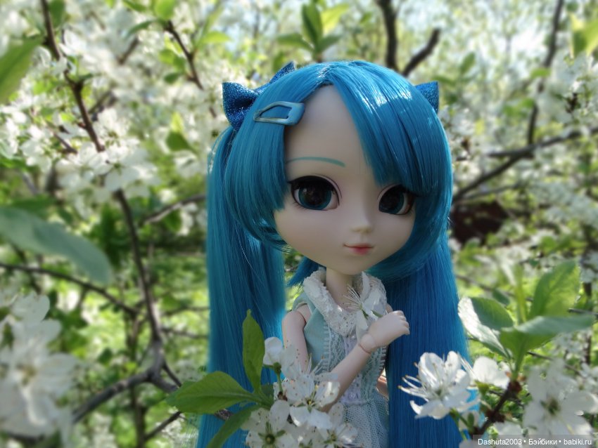 Майские воспоминания... Прекрасная Pullip Hatsune Miku и не менее прекрасные вишневые цветы (фото 6)