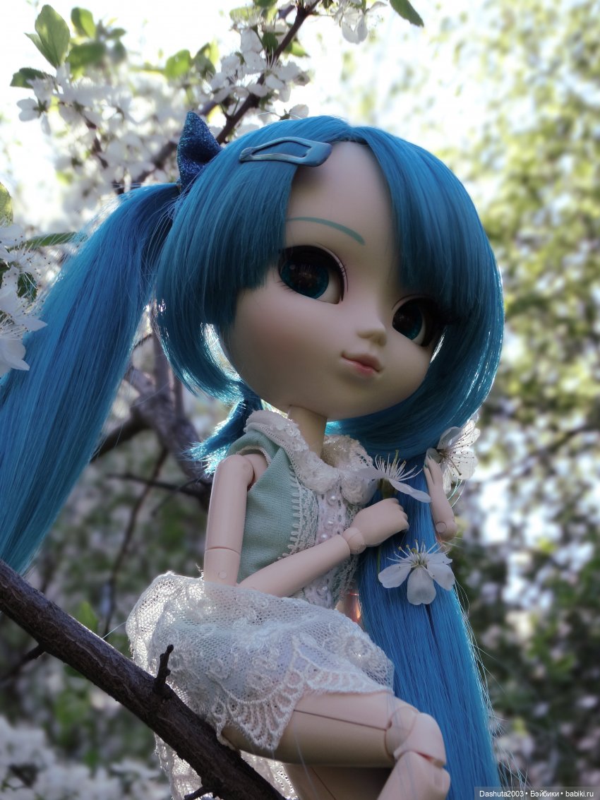 Майские воспоминания... Прекрасная Pullip Hatsune Miku и не менее прекрасные вишневые цветы (фото 9)