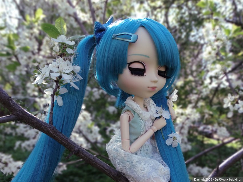 Майские воспоминания... Прекрасная Pullip Hatsune Miku и не менее прекрасные вишневые цветы (фото 4)