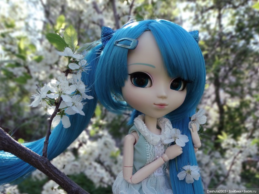 Майские воспоминания... Прекрасная Pullip Hatsune Miku и не менее прекрасные вишневые цветы (фото 3)