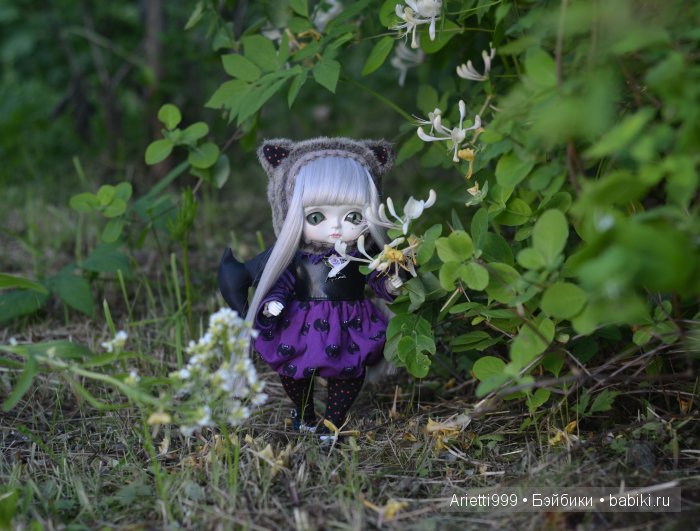 Летучая мышка — Коллекционные куклы разных авторов (Разное): редкие бренды (фото 5)