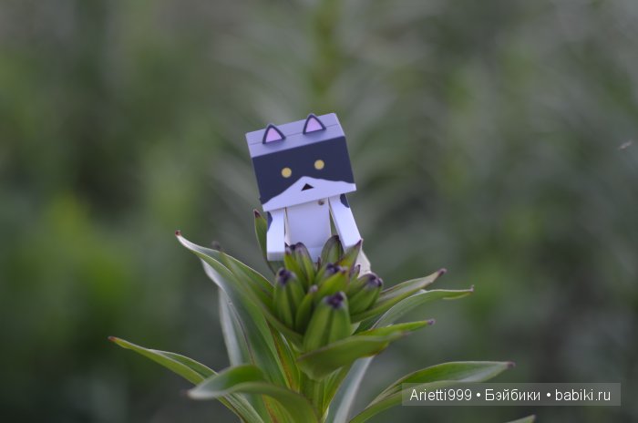 Похождения Кошарика. Danbo | Бэйбики Похождения Кошарика. Danbo (фото 3)