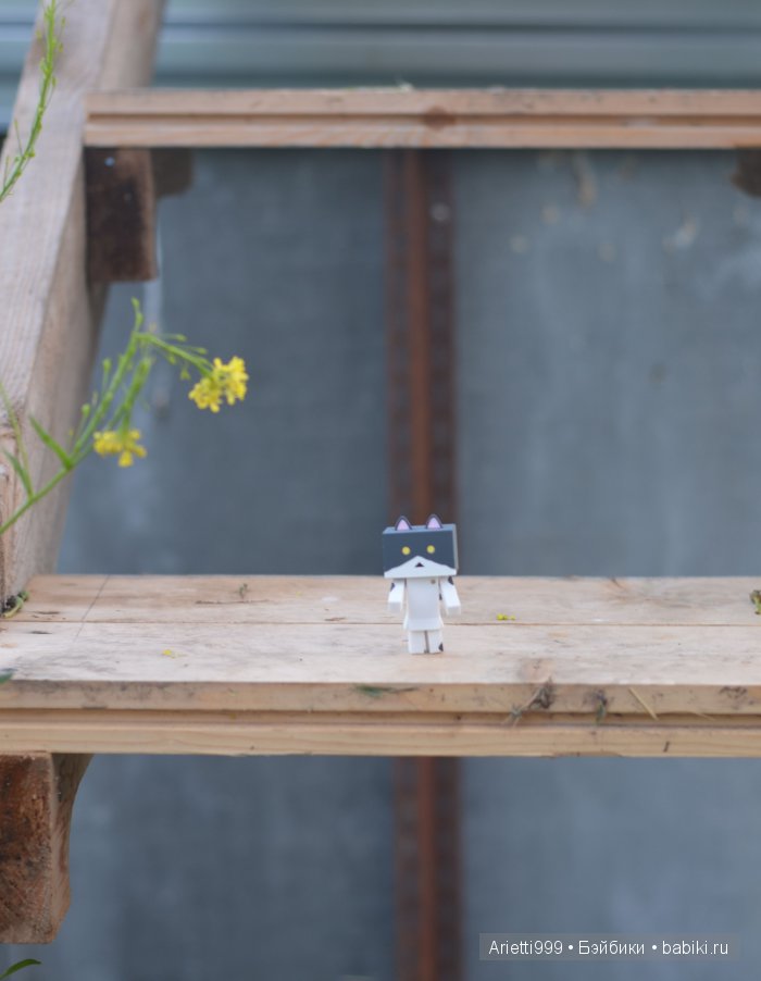 Похождения Кошарика. Danbo | Бэйбики Похождения Кошарика. Danbo