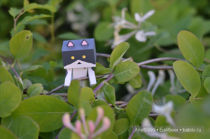 Похождения Кошарика. Danbo | Бэйбики Похождения Кошарика. Danbo (фото 4)