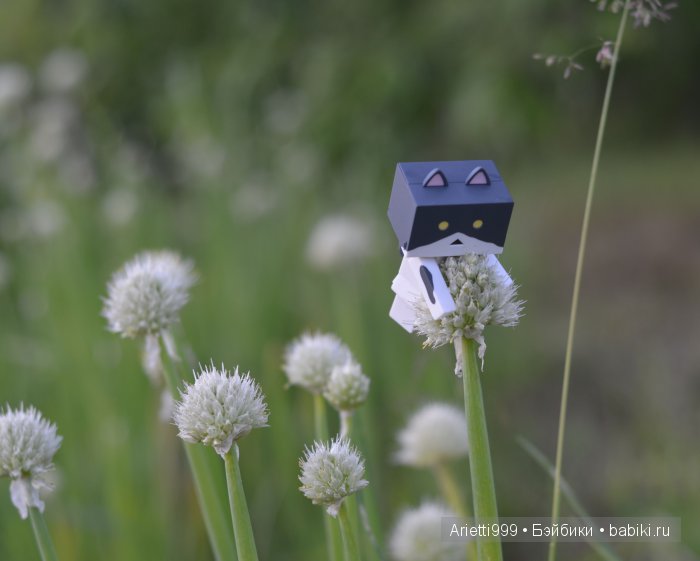 Похождения Кошарика. Danbo | Бэйбики Похождения Кошарика. Danbo