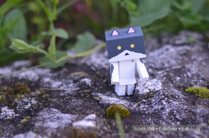 Похождения Кошарика. Danbo | Бэйбики Похождения Кошарика. Danbo (фото 7)