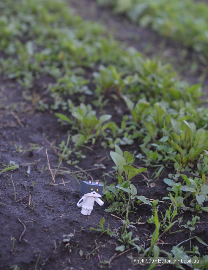 Похождения Кошарика. Danbo | Бэйбики Похождения Кошарика. Danbo (фото 8)