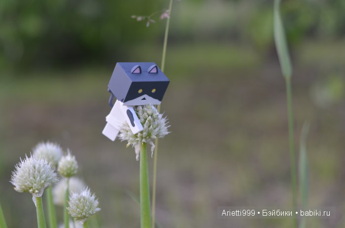 Похождения Кошарика. Danbo | Бэйбики Похождения Кошарика. Danbo (фото 2)