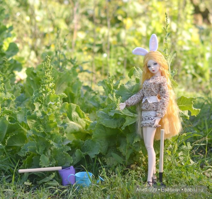 Трудолюбивый кролик — Куклы Souldoll (Соулдолл): BJD (БЖД) (фото 4)