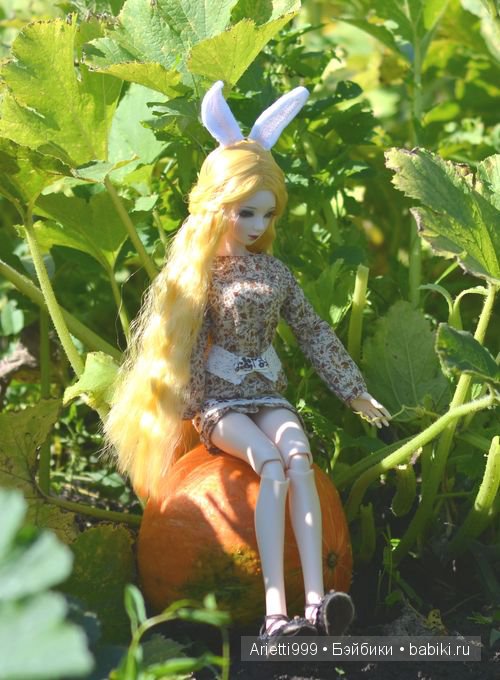 Трудолюбивый кролик — Куклы Souldoll (Соулдолл): BJD (БЖД) (фото 2)