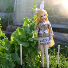 Трудолюбивый кролик