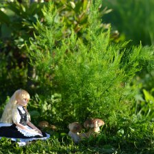 Кнопочные приключения