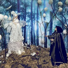 Встреча с шелкопрядом