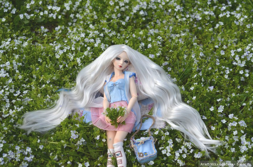 Бжд-пикник — Куклы Souldoll (Соулдолл): BJD (БЖД) (фото 5)