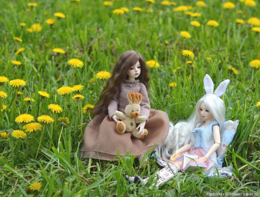 Бжд-пикник — Куклы Souldoll (Соулдолл): BJD (БЖД)