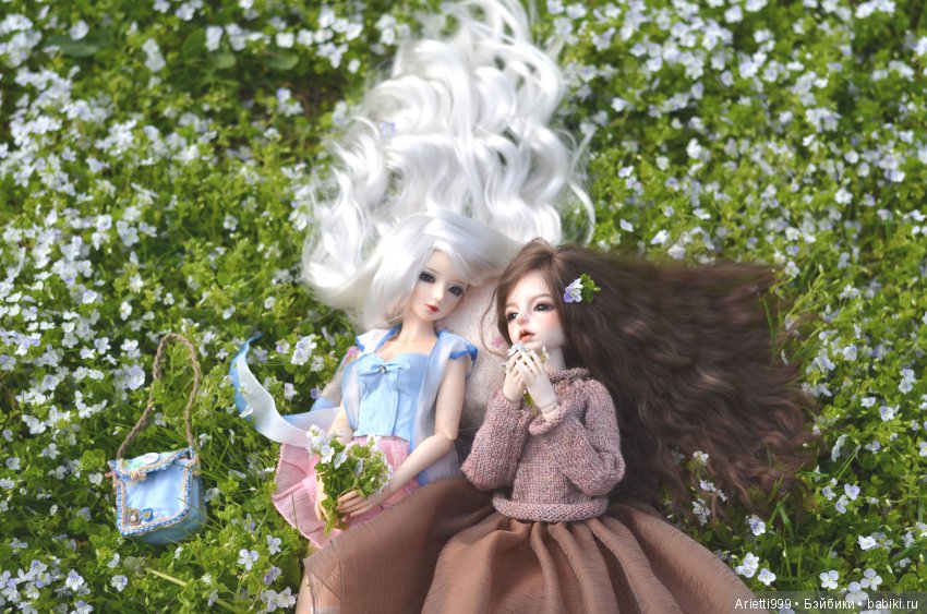 Бжд-пикник — Куклы Souldoll (Соулдолл): BJD (БЖД) (фото 2)