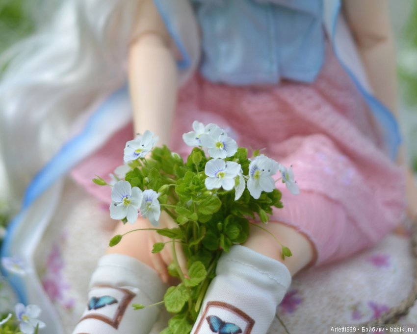 Бжд-пикник — Куклы Souldoll (Соулдолл): BJD (БЖД) (фото 4)