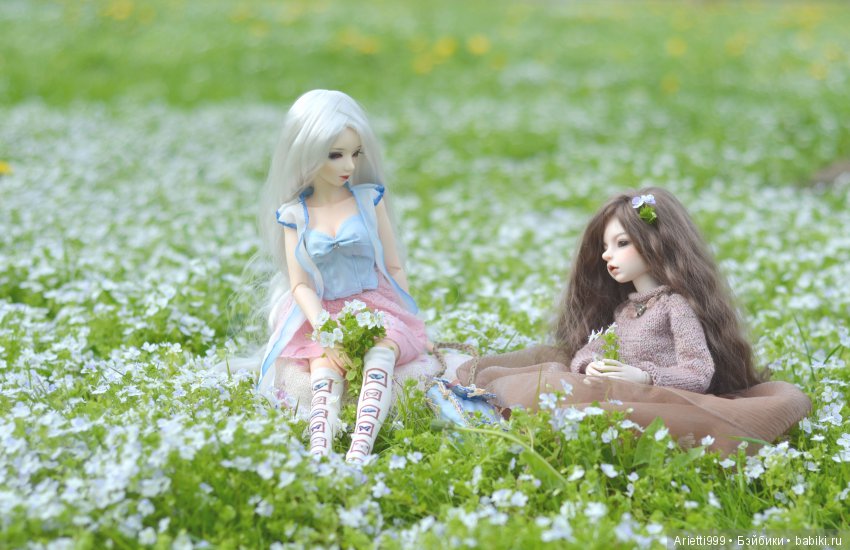 Бжд-пикник — Куклы Souldoll (Соулдолл): BJD (БЖД) (фото 3)