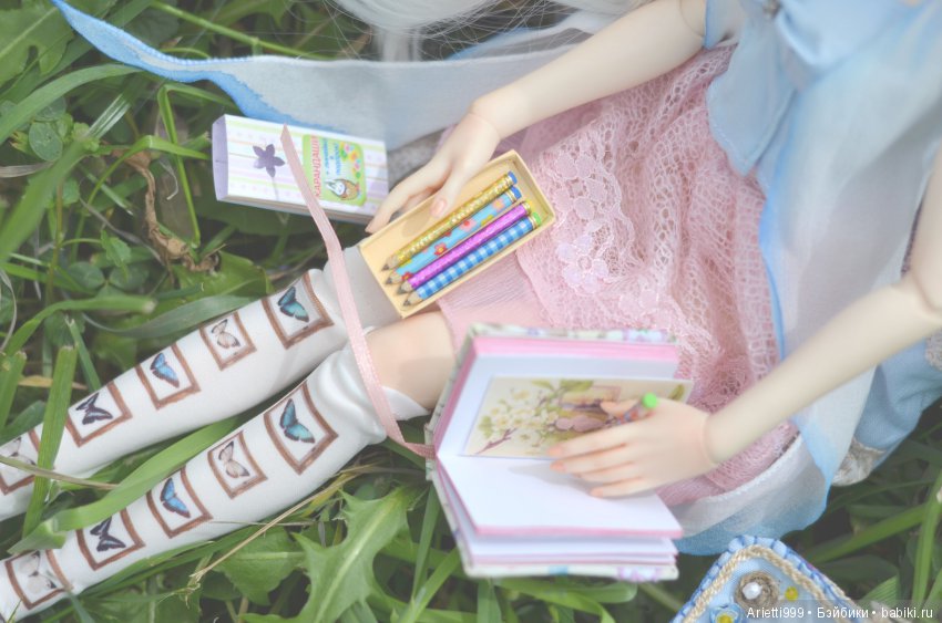 Бжд-пикник — Куклы Souldoll (Соулдолл): BJD (БЖД) (фото 7)