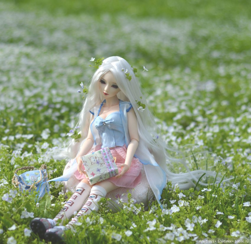 Бжд-пикник — Куклы Souldoll (Соулдолл): BJD (БЖД) (фото 6)