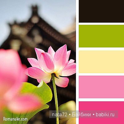 Сочетание цветов — Сочетание цветов: палитры для одежды и интерьера (фото 10)