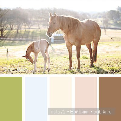 Сочетание цветов — Сочетание цветов: палитры для одежды и интерьера