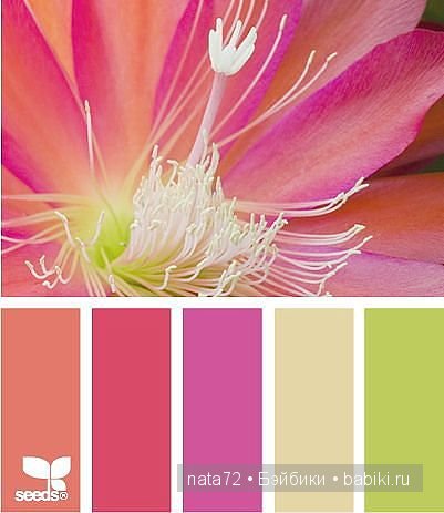 Сочетание цветов — Сочетание цветов: палитры для одежды и интерьера