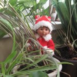 Знакомьтесь - наша новенькая! Девочка-гномик от Rosemarie Anna Muller.