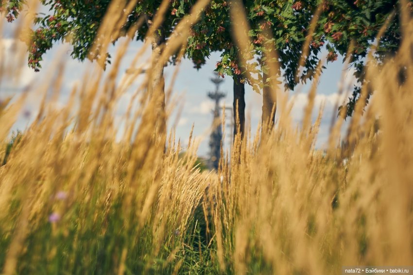 Москва знакомая и незнакомая