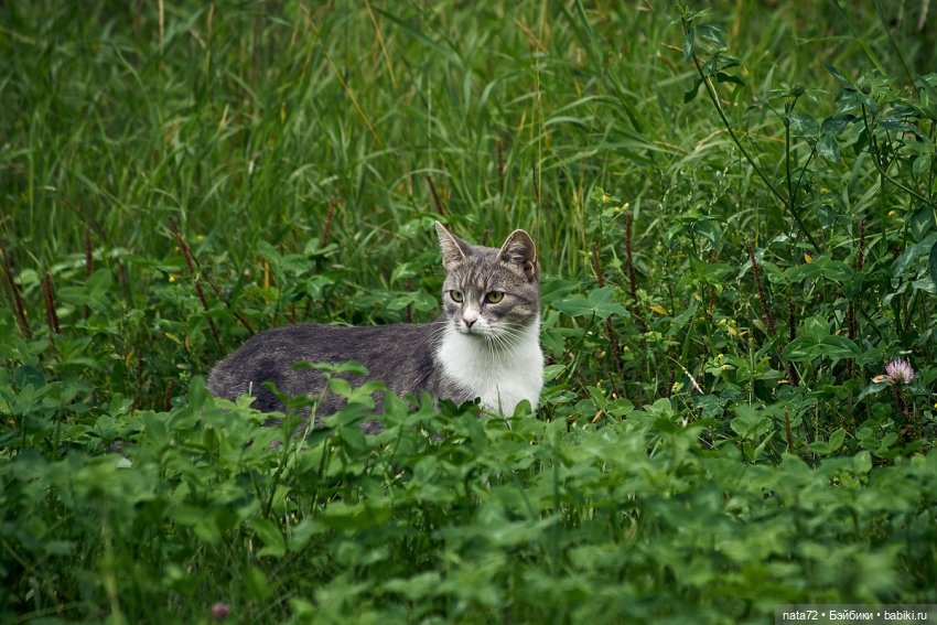 Москва знакомая и незнакомая
