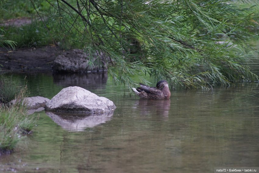 Москва знакомая и незнакомая (фото 6)