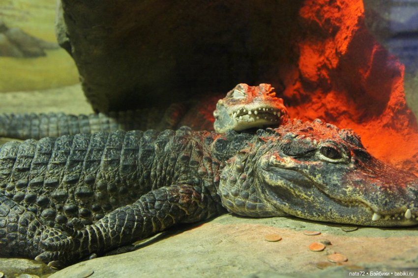 Москва знакомая и незнакомая