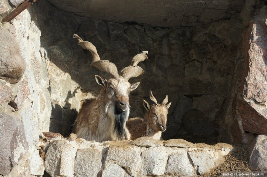 Москва знакомая и незнакомая