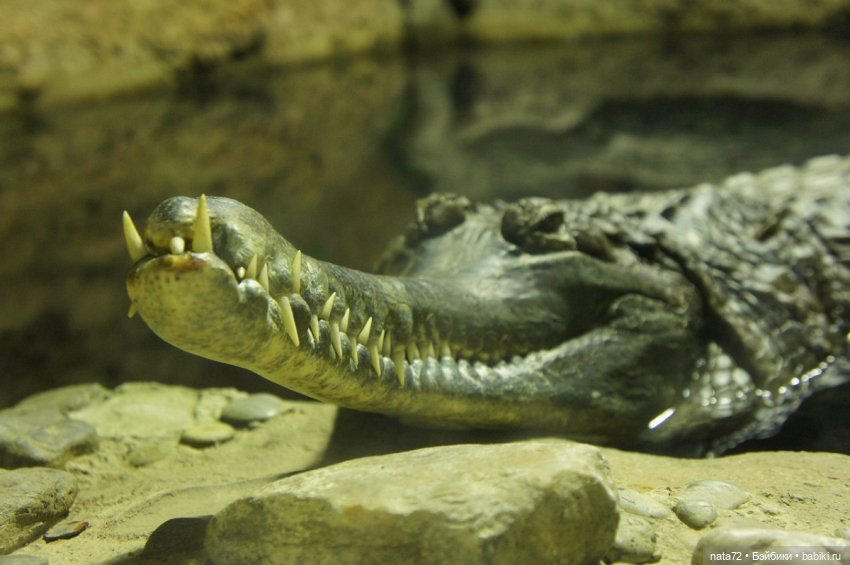 Москва знакомая и незнакомая