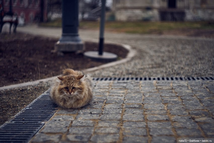 Москва знакомая и незнакомая