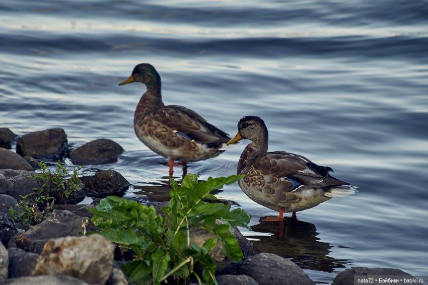 Москва знакомая и незнакомая
