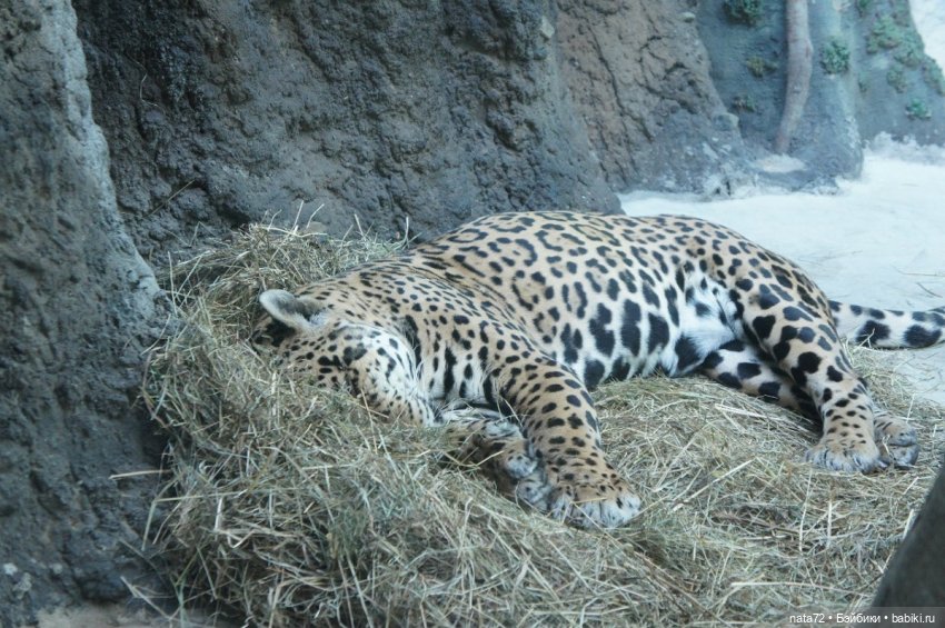 Москва знакомая и незнакомая