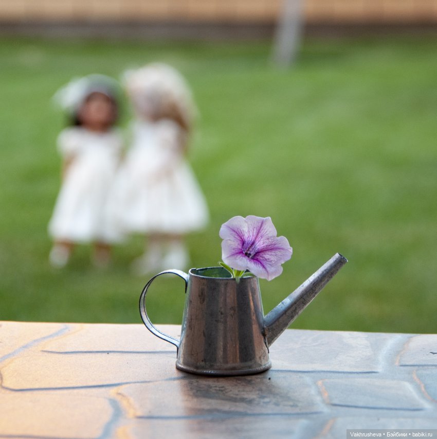 Рубиновый вечер — Куклы Ruby Red (Руби Ред) Fashion Friends: Siblies