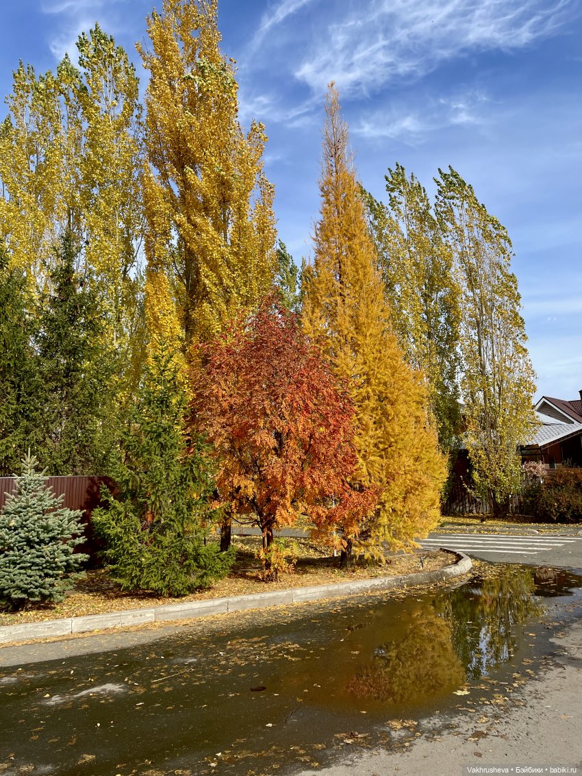 Октябрь на моём столе — Одежда и обувь для кукол своими руками: фото (фото 8)