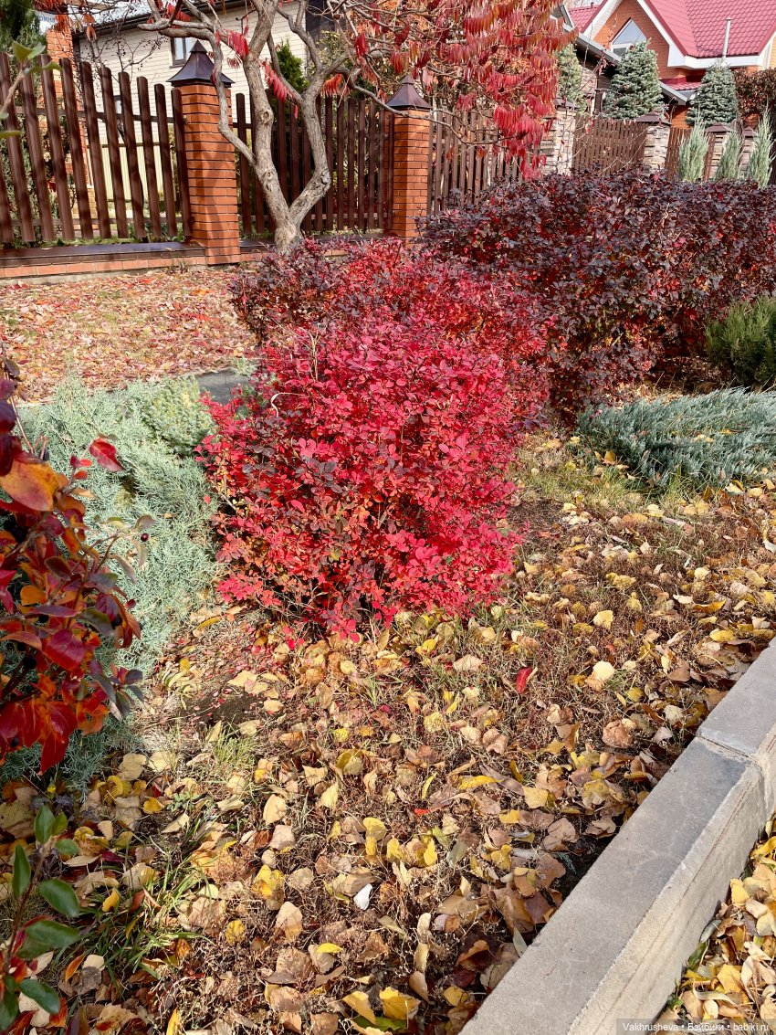 Октябрь на моём столе — Одежда и обувь для кукол своими руками: фото (фото 9)