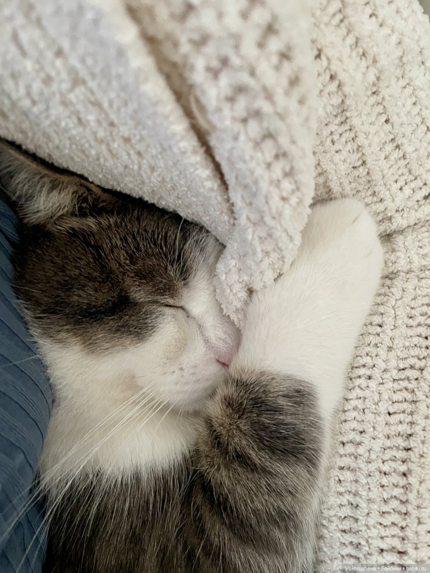 И мы ворвались в этот год