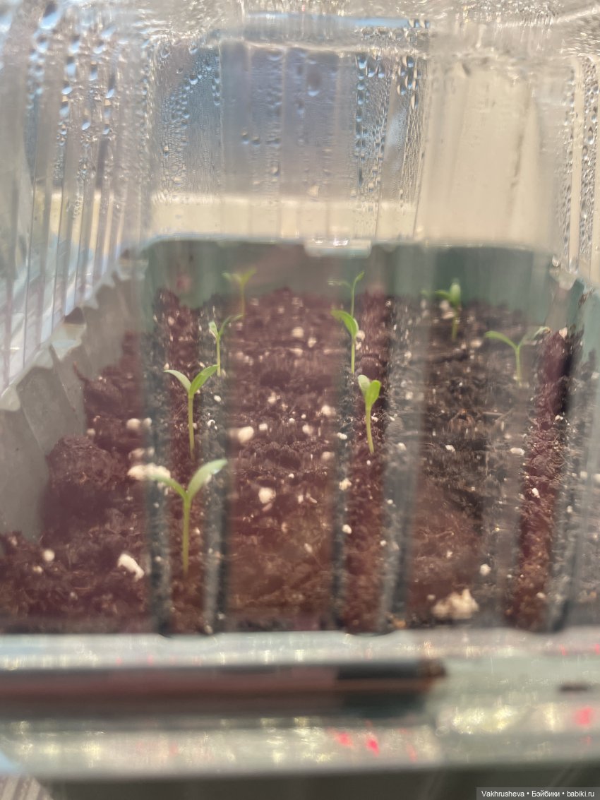 По секрету | Бэйбики По секрету — Одежда и обувь для кукол своими руками: фото