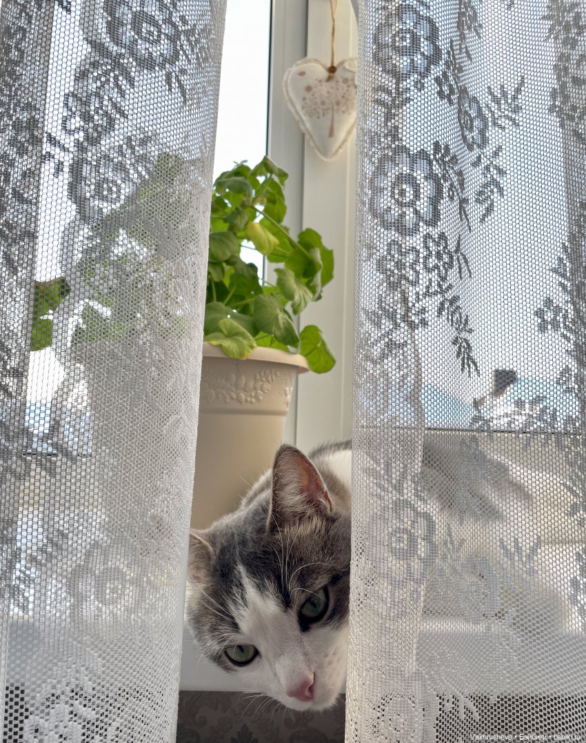 По секрету | Бэйбики По секрету — Одежда и обувь для кукол своими руками: фото