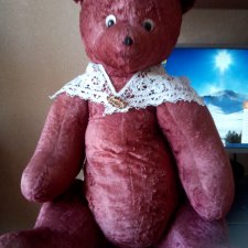 Как вылечить старого мишку?