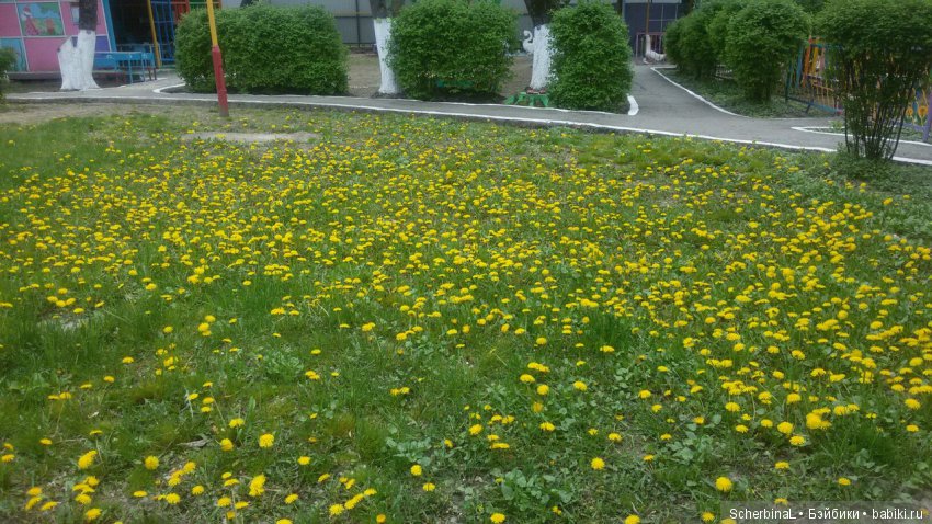 Малышня на огороде. Irrealdoll Ino, Pukifee Ante (фото 10)