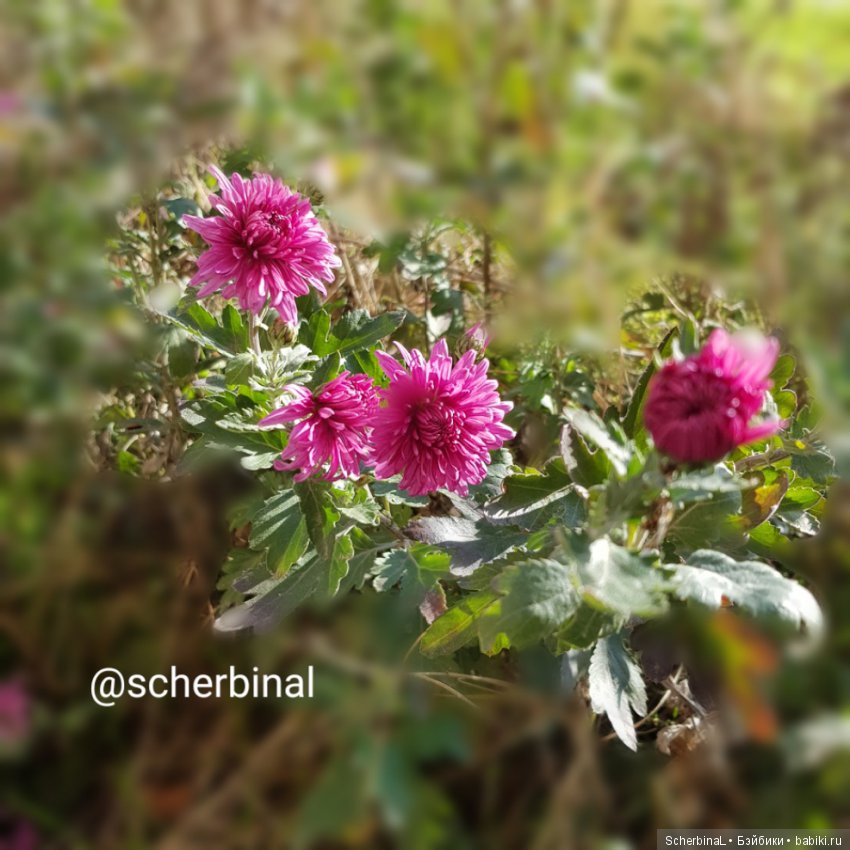 STARKовы LIFE. Первый день зимы (фото 10)