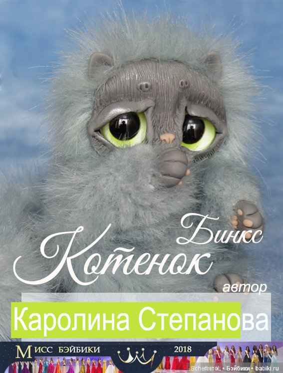 Мисс Бэйбики 2018. Открыт приём заявок (фото 6)